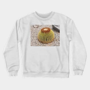 Barrel Cactus Crewneck Sweatshirt